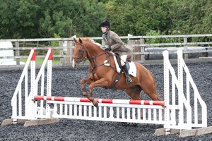 Class 5 - Fences not above 2'6